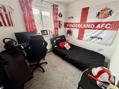 Picture 11